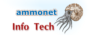 ammonet InfoTech Conception et développement de sites Web